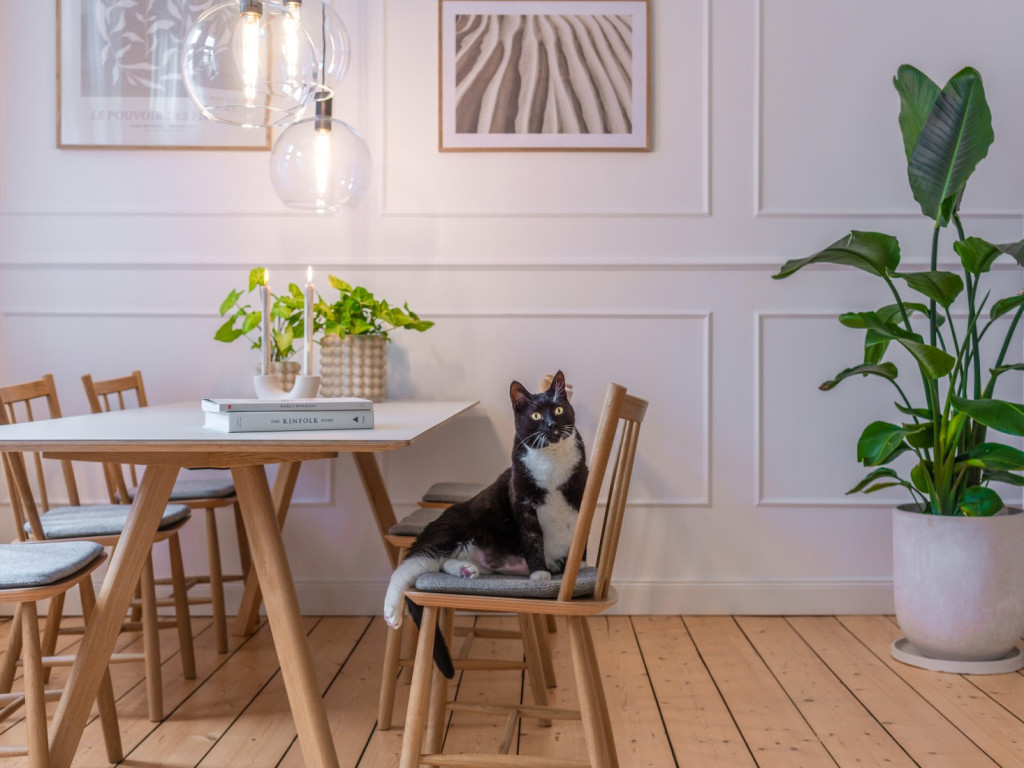 Dekorlist SP2 milj&oslash;bilde fra Deco Systems